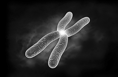 关于{ k1=g1 }